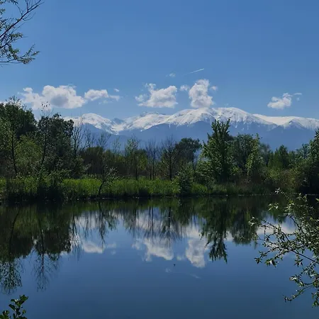 Casute In Mijlocul Naturii - Wild Camp * Avrig