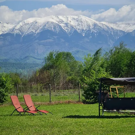 Casute In Mijlocul Naturii - Wild Camp * Avrig