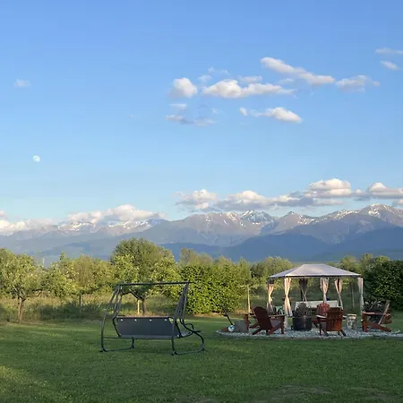 Casute In Mijlocul Naturii - Wild Camp Campeggio *